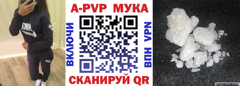 A PVP СК КРИС  Елизово 
