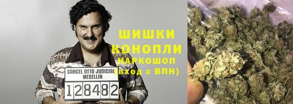 PSILOCYBIN Абаза