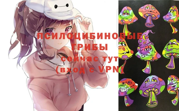 PSILOCYBIN Абаза