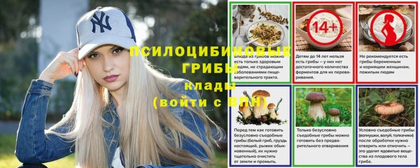 а пвп мука Абдулино