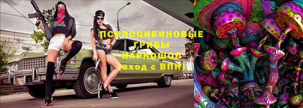 PSILOCYBIN Абаза