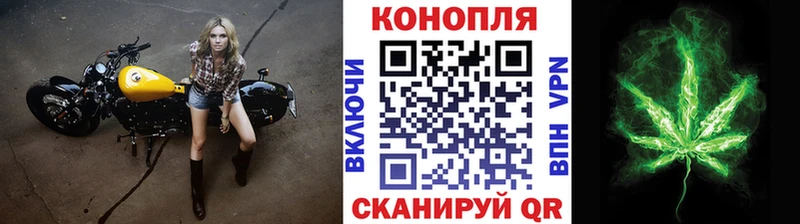 наркота  Елизово  Шишки марихуана индика 